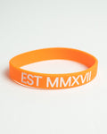LYFTLYFE Original Wristband