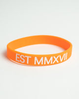 LYFTLYFE Original Wristband