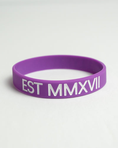 LYFTLYFE Original Wristband